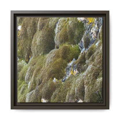 Moss Symphony - Unique Stretched Canvas Wall Art