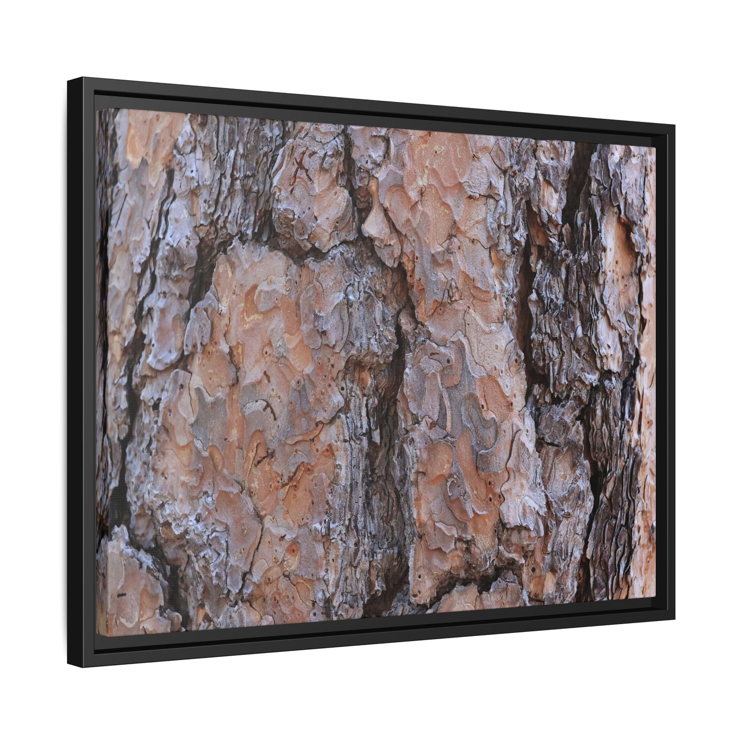 Tree Skin Symphony - Unique Stretched Canvas Wall Art - Art By Earth