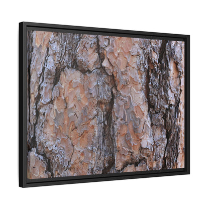 Tree Skin Symphony - Unique Stretched Canvas Wall Art - Art By Earth