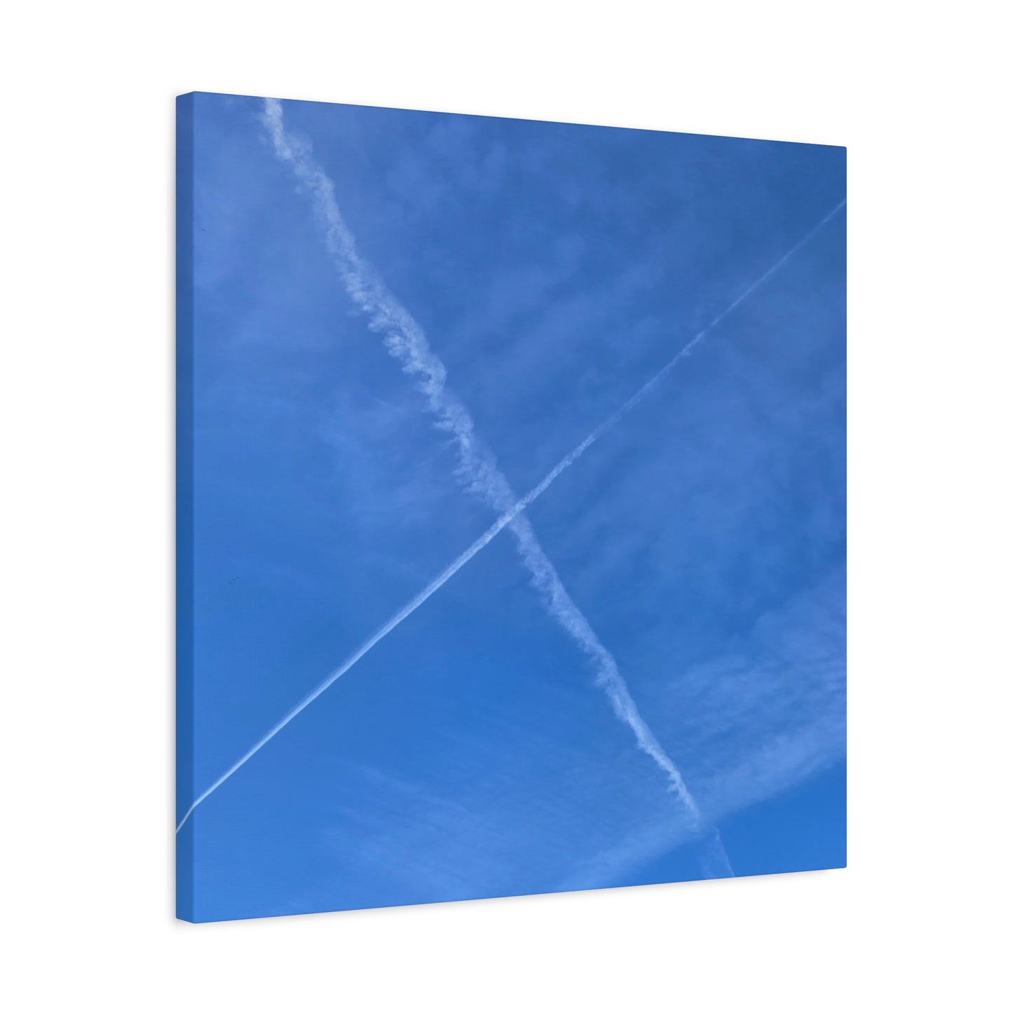 Crossing Paths - Unique Frameless Canvas Wall Art - Art By Earth