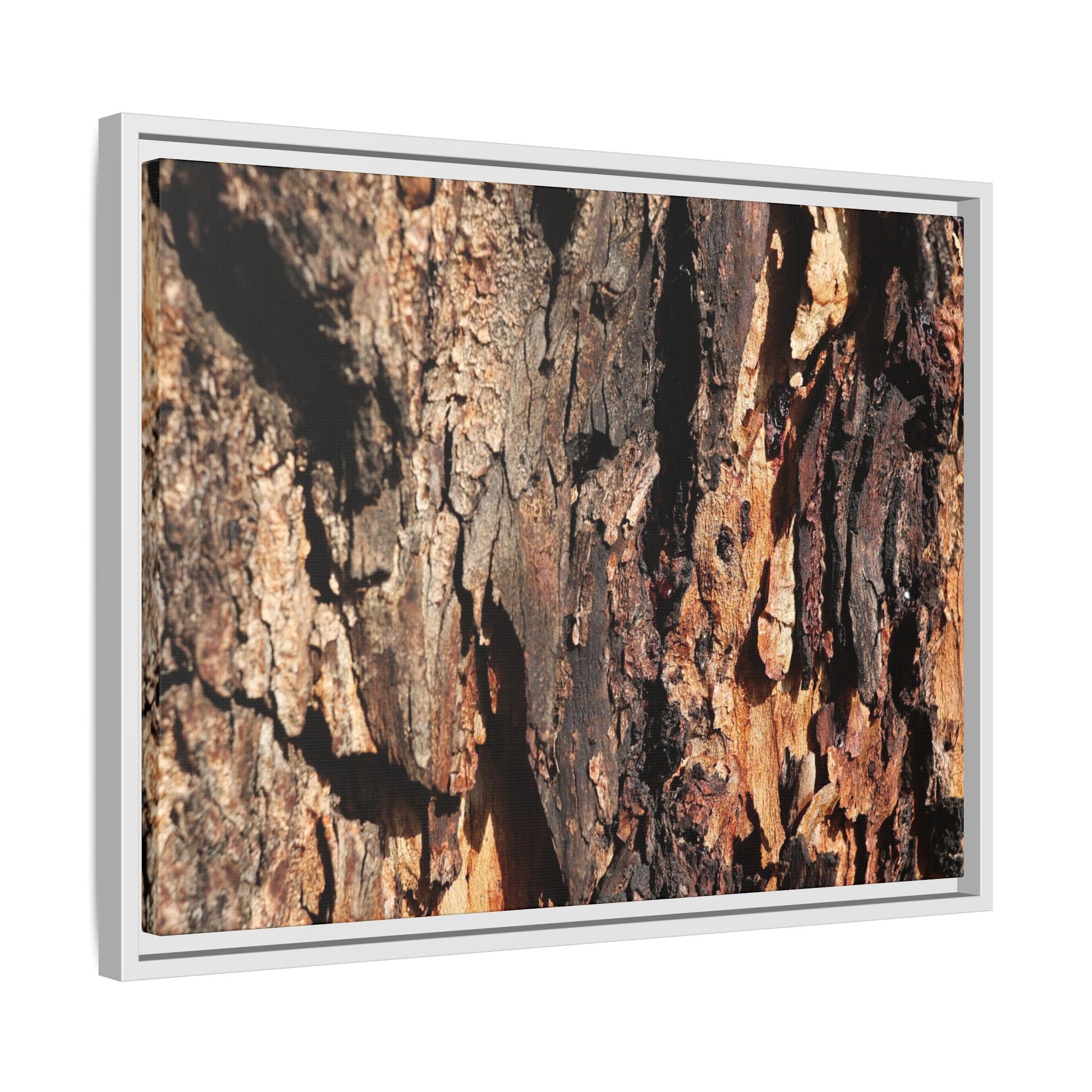 Rugged Beauty - Unique Stretched Canvas Wall Art - Art By Earth