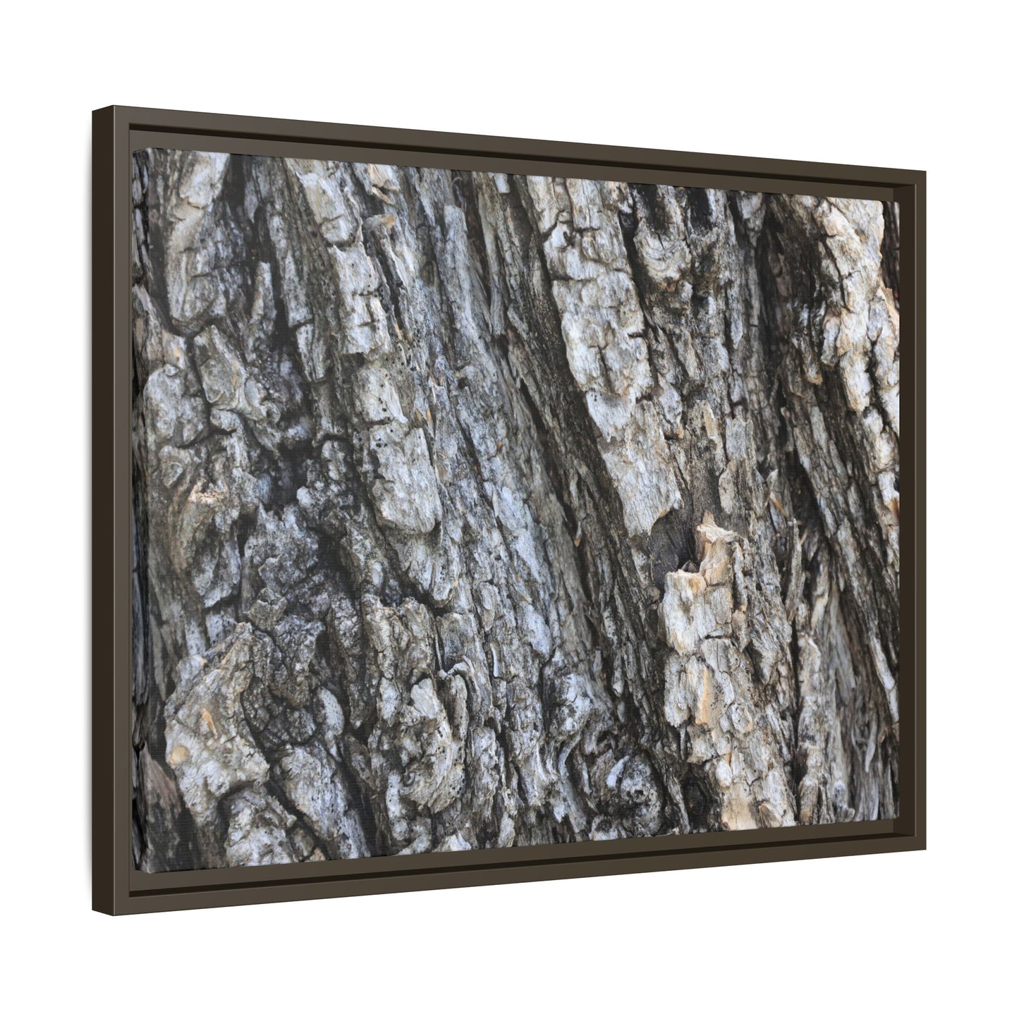 Twisted Textures - Unique Stretched Canvas Wall Art - Art By Earth