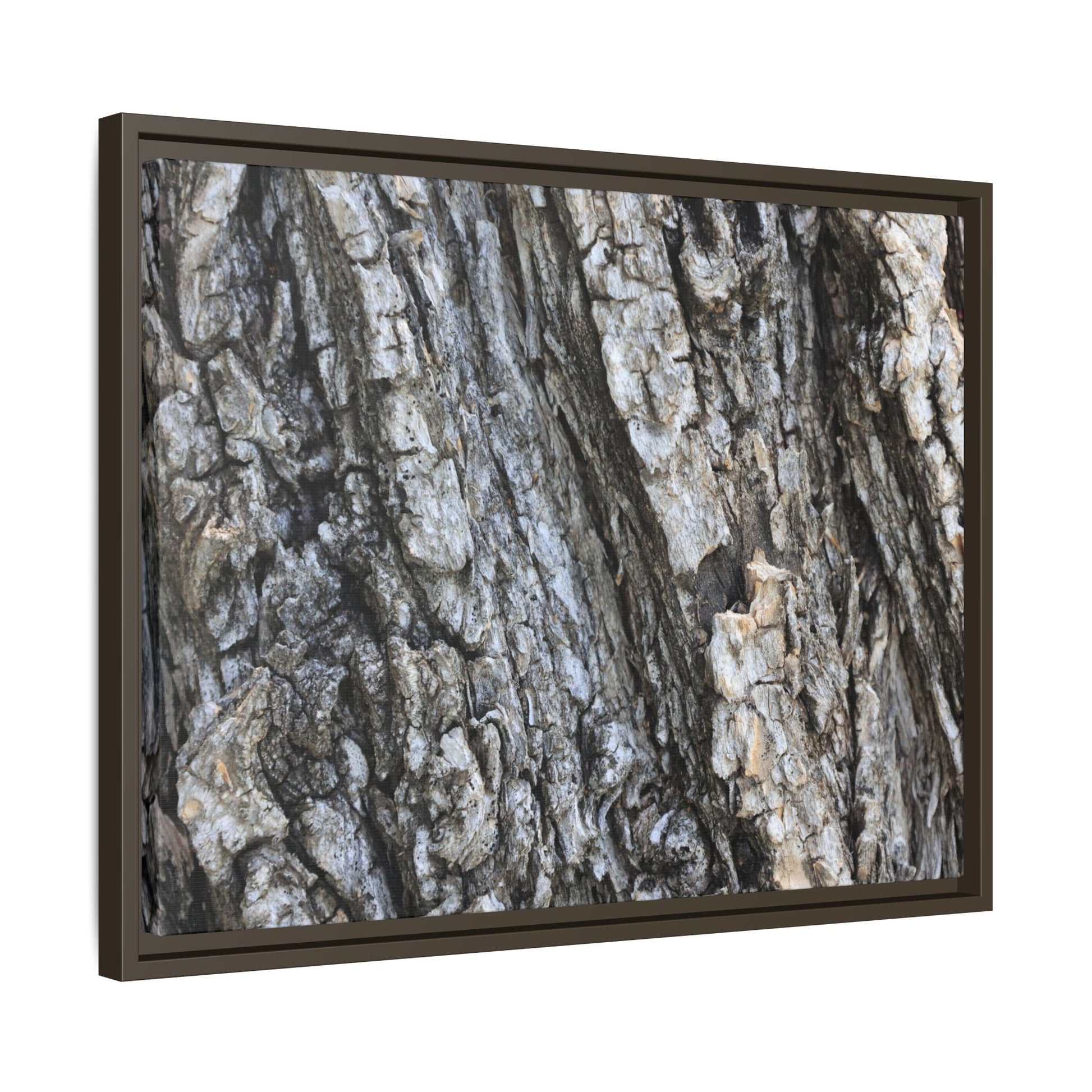 Twisted Textures - Unique Stretched Canvas Wall Art - Art By Earth