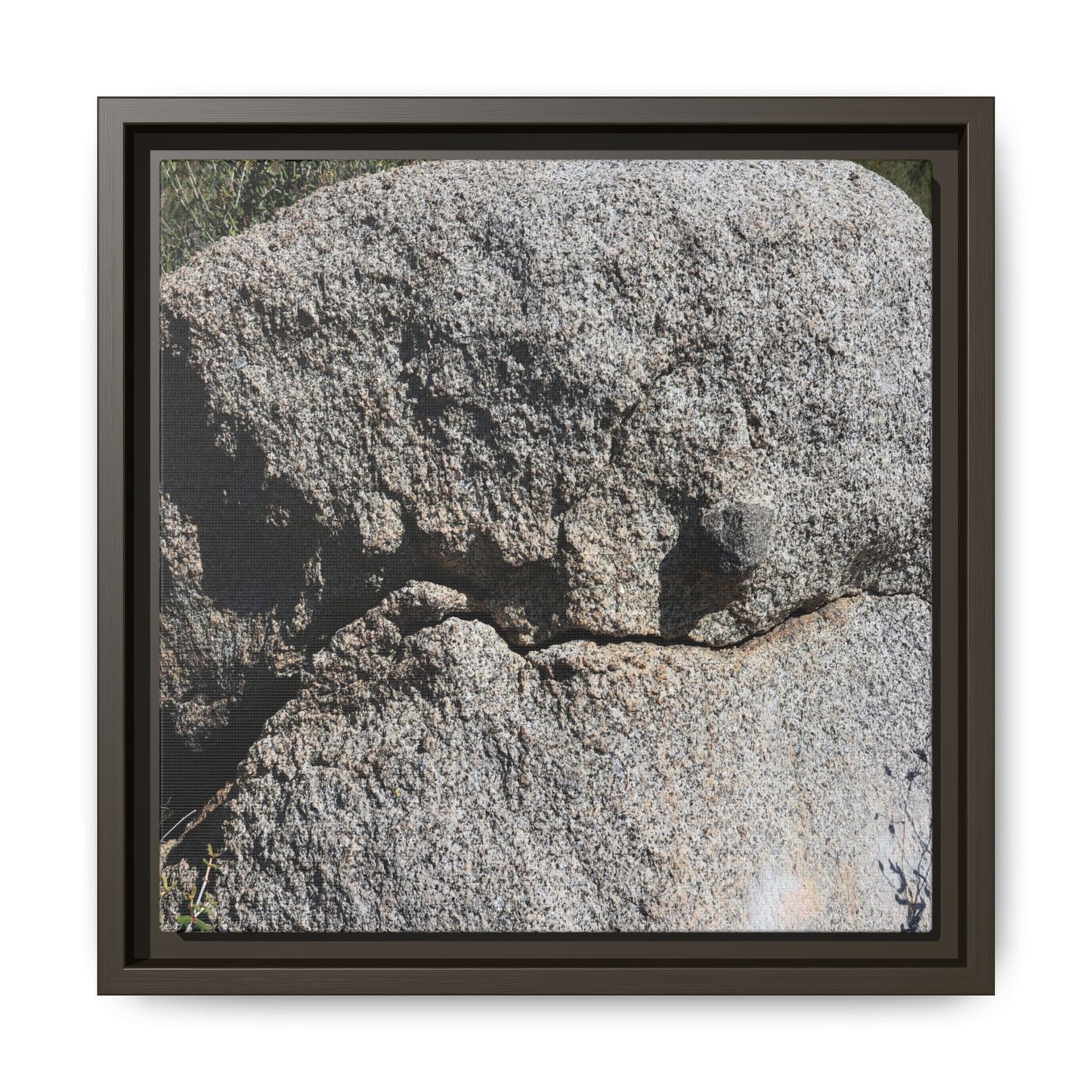 Stone Skull in Desert - Unique Stretched Canvas Wall Art
