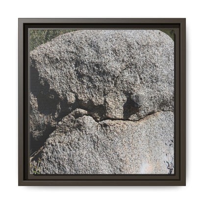 Stone Skull in Desert - Unique Stretched Canvas Wall Art