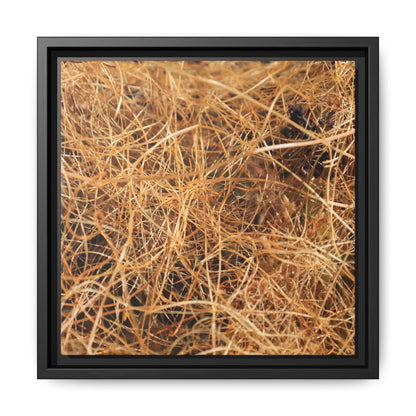 Dried Grass - Unique Stretched Canvas Wall Art - Art By Earth