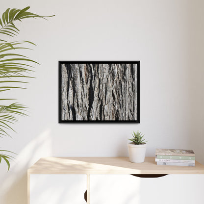 Bark Lines - Unique Stretched Canvas Wall Art - Art By Earth