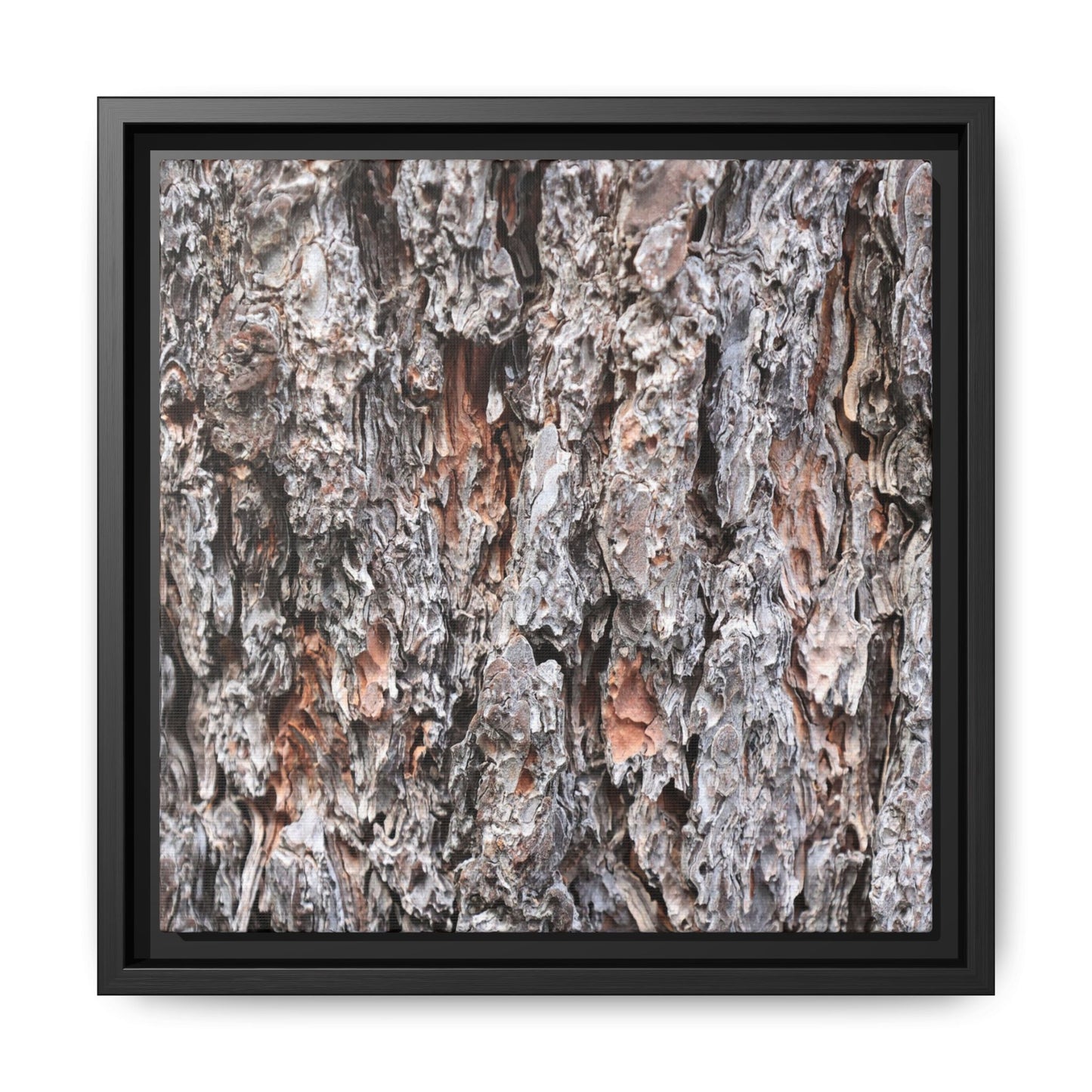 Rugged Cortex - Unique Stretched Canvas Wall Art - Art By Earth