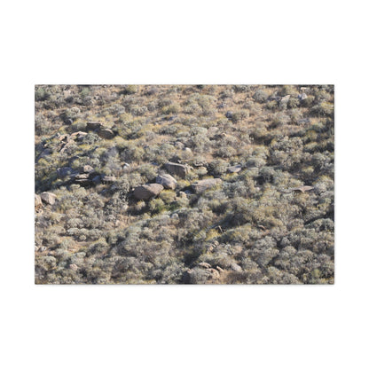 Desert Landscape with Scattered Rocks and Sage - Unique Frameless Canvas Wall Art - Art By Earth
