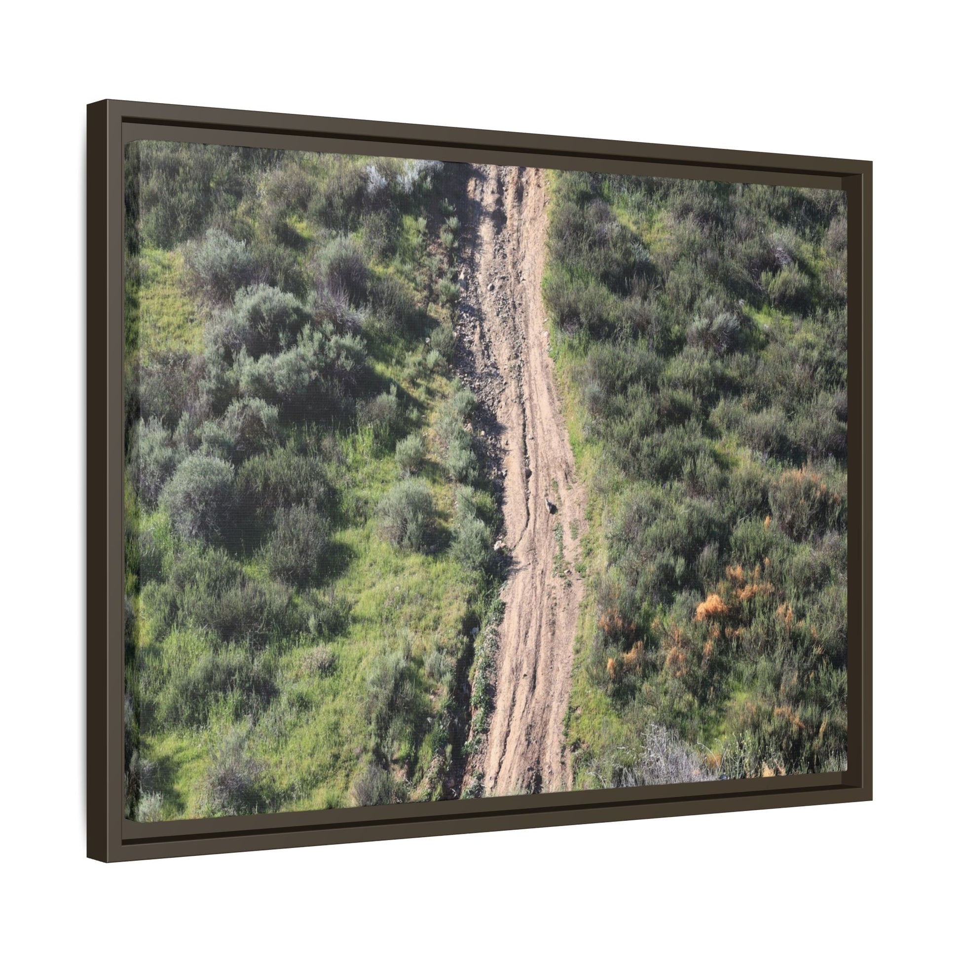 Desert Path Through Sage - Unique Stretched Canvas Wall Art - Art By Earth