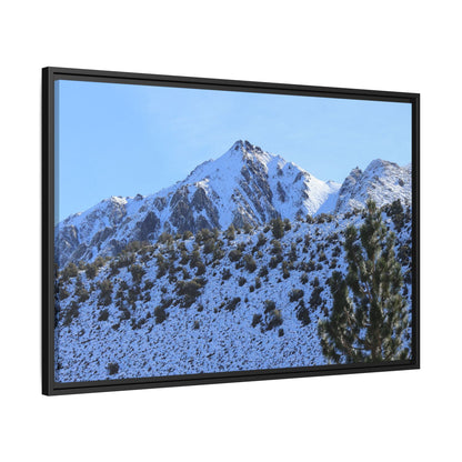 Snow's Embrace - Unique Stretched Canvas Wall Art