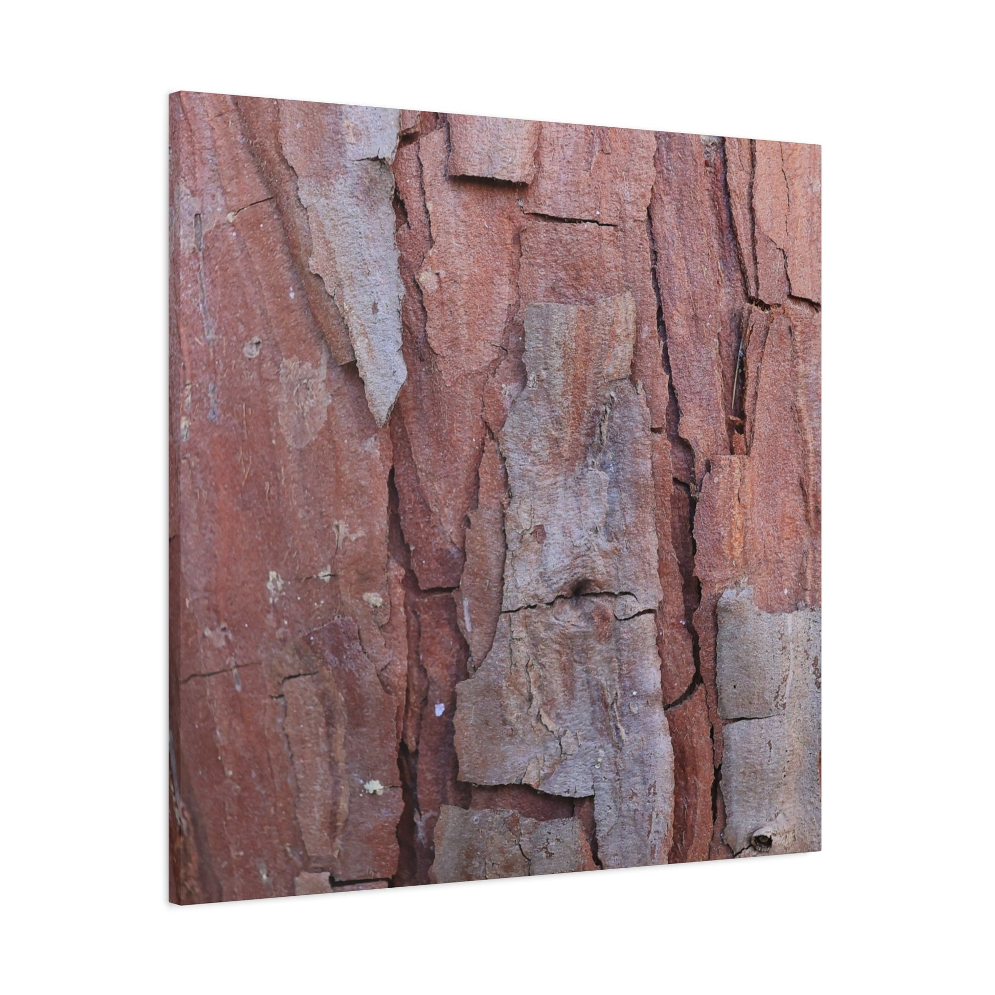 Fractal Rust - Unique Frameless Canvas Wall Art - Art By Earth