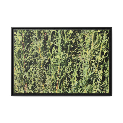 Emerald Labyrinth - Unique Stretched Canvas Wall Art - Art By Earth