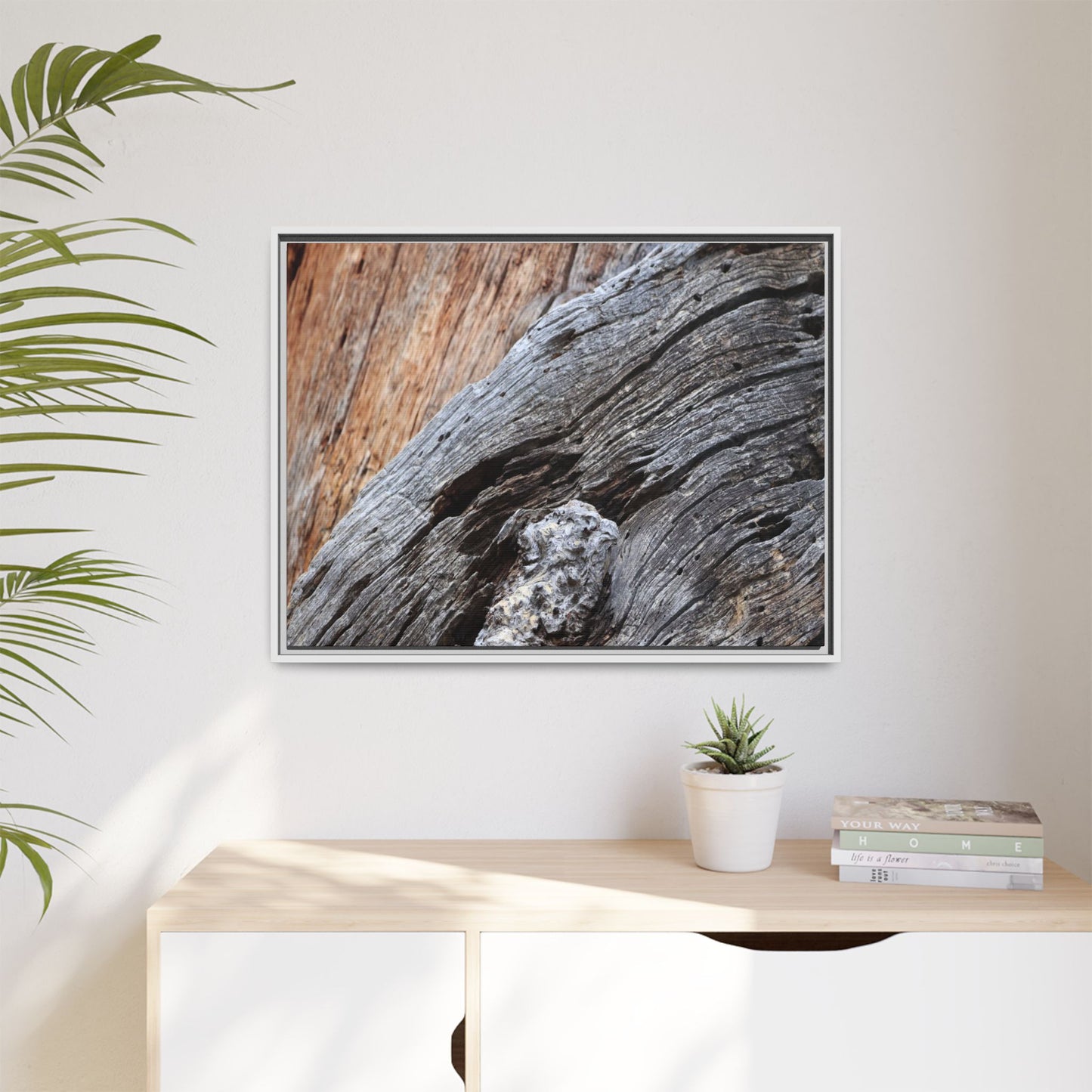 Time's Mark on Timber - Unique Stretched Canvas Wall Art - Art By Earth