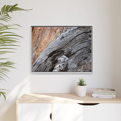 Time's Mark on Timber - Unique Stretched Canvas Wall Art - Art By Earth