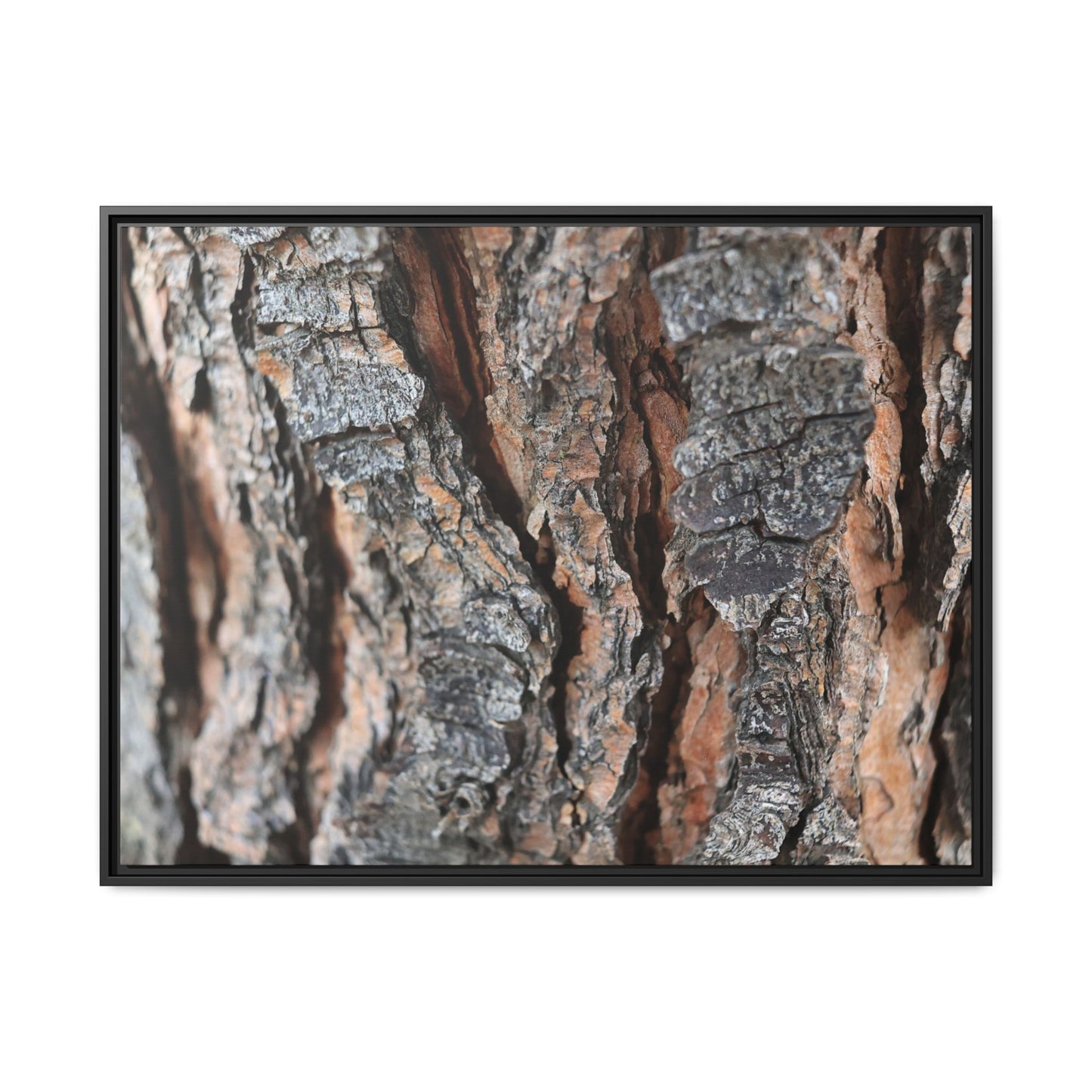 Fractured Nature - Unique Stretched Canvas Wall Art - Art By Earth