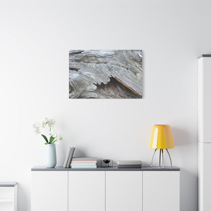 Whispers of Ancient Wood - Unique Frameless Canvas Wall Art - Art By Earth
