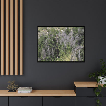 Forest Decline - Unique Stretched Canvas Wall Art