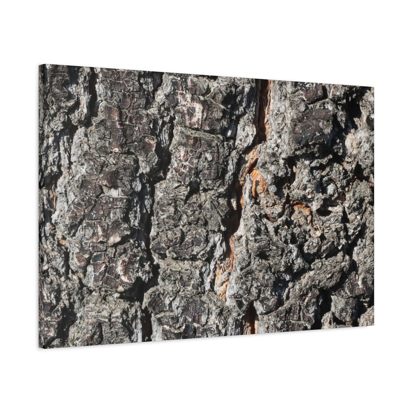 Arboreal Skin - Unique Frameless Canvas Wall Art - Art By Earth