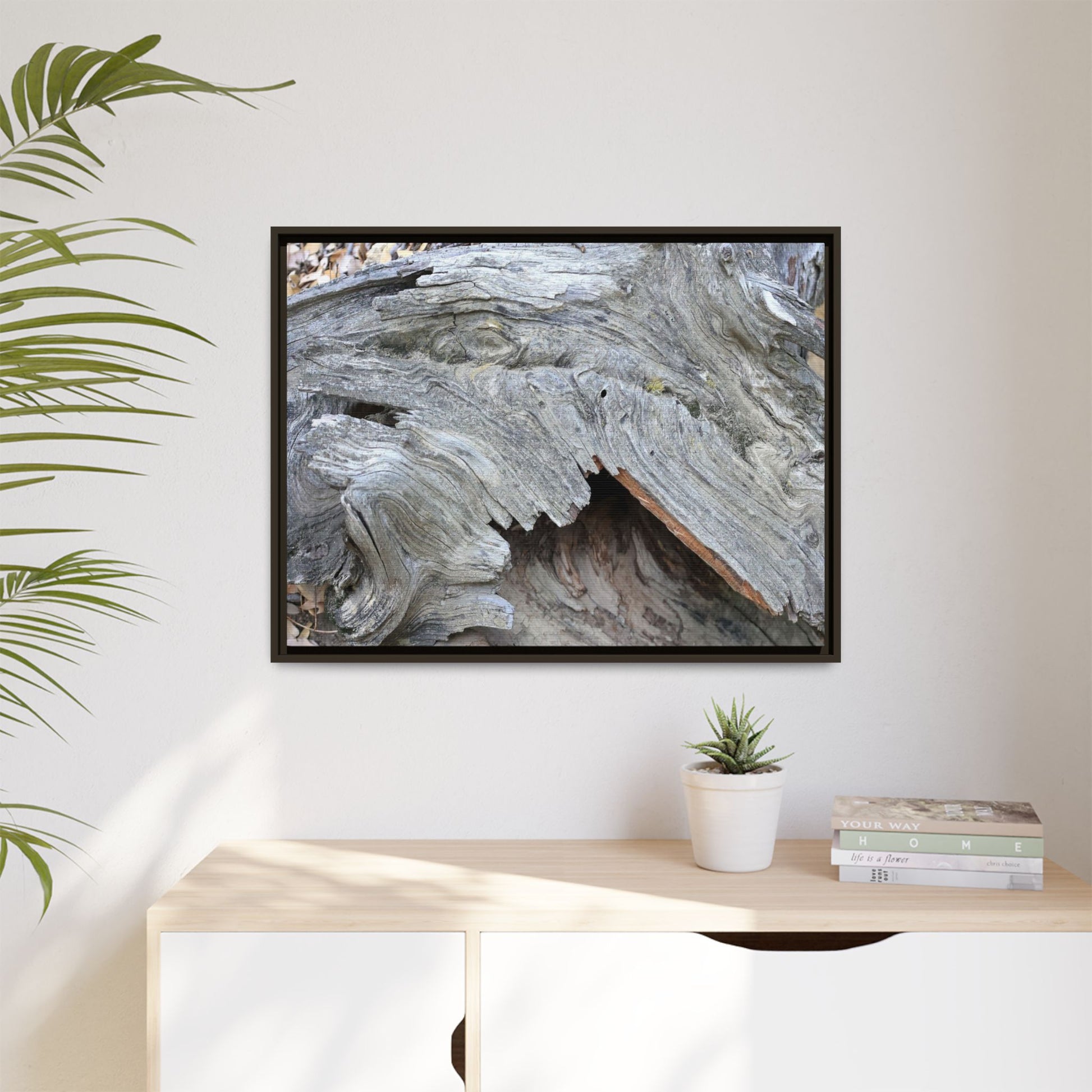 Driftwood Dreams - Unique Stretched Canvas Wall Art - Art By Earth