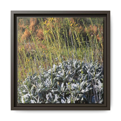 Arid Landscape with Yellow Flowers - Unique Stretched Canvas Wall Art - Art By Earth