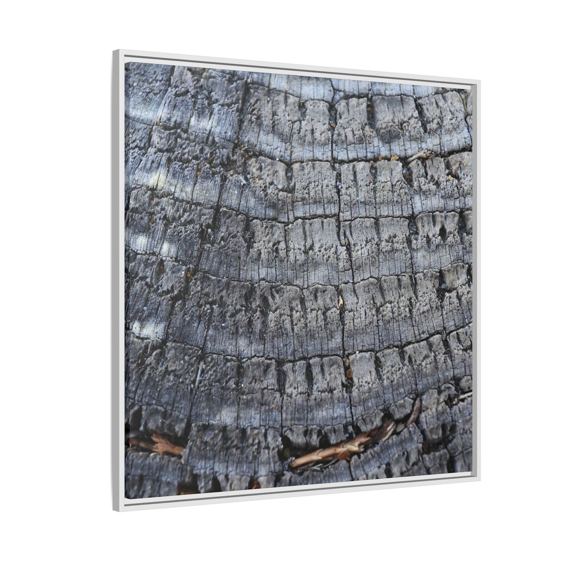 Charred Memories - Unique Stretched Canvas Wall Art - Art By Earth