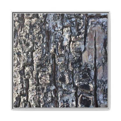 The Bark Chronicles - Unique Stretched Canvas Wall Art - Art By Earth