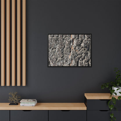 Aged Beauty - Unique Stretched Canvas Wall Art - Art By Earth