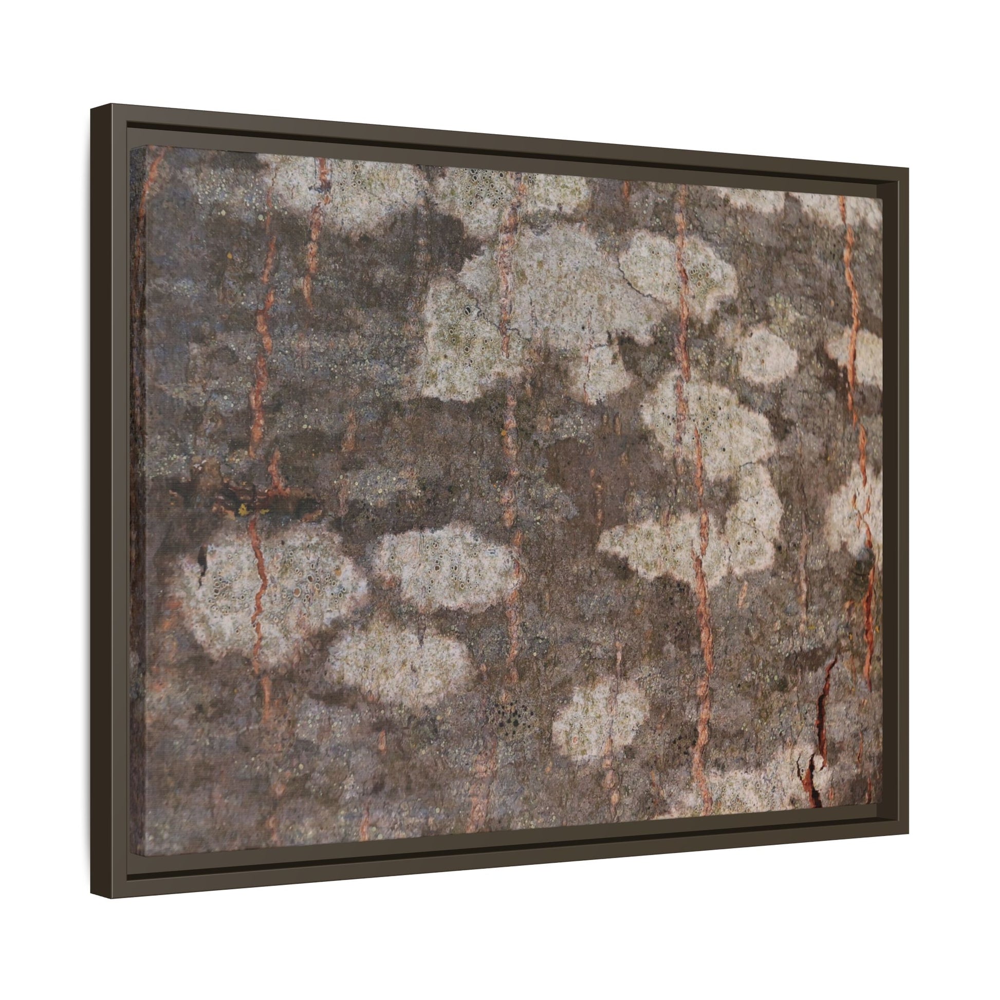 Lichen's Legacy - Unique Stretched Canvas Wall Art - Art By Earth