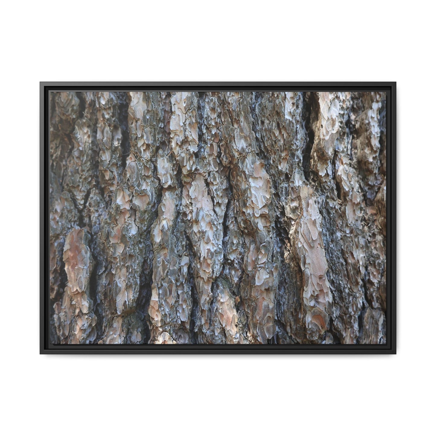 Bark Whispers - Unique Stretched Canvas Wall Art - Art By Earth