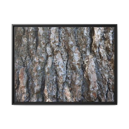 Bark Whispers - Unique Stretched Canvas Wall Art - Art By Earth