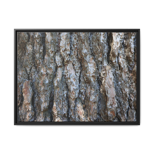 Bark Whispers - Unique Stretched Canvas Wall Art - Art By Earth