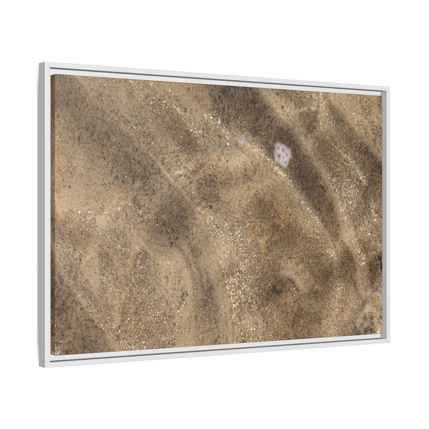 Underwater Sand Exploration - Unique Stretched Canvas Wall Art - Art By Earth