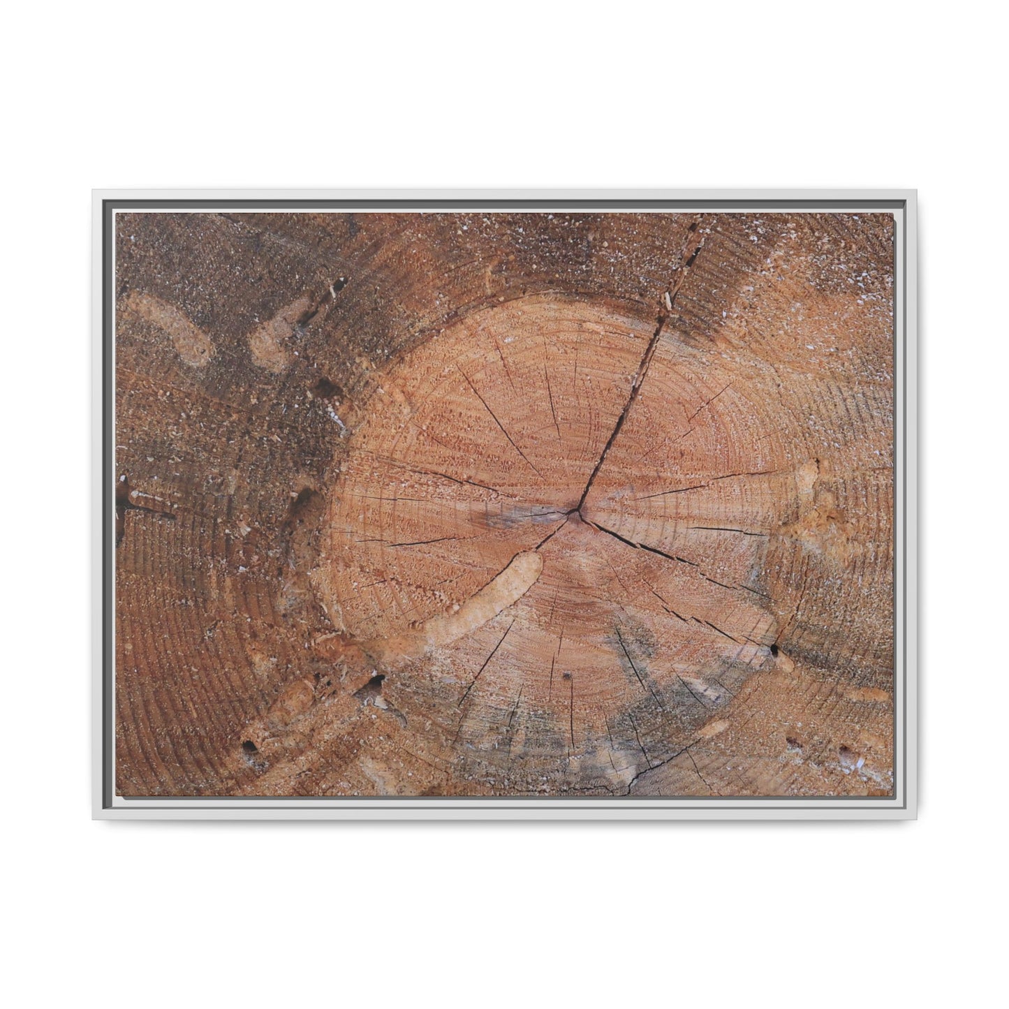 Concentric Memories - Unique Stretched Canvas Wall Art - Art By Earth