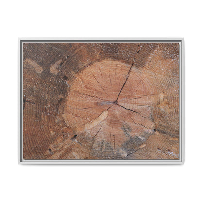 Concentric Memories - Unique Stretched Canvas Wall Art - Art By Earth