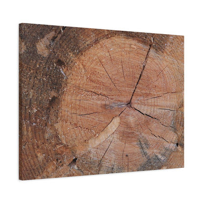 Timber Tale - Unique Frameless Canvas Wall Art - Art By Earth