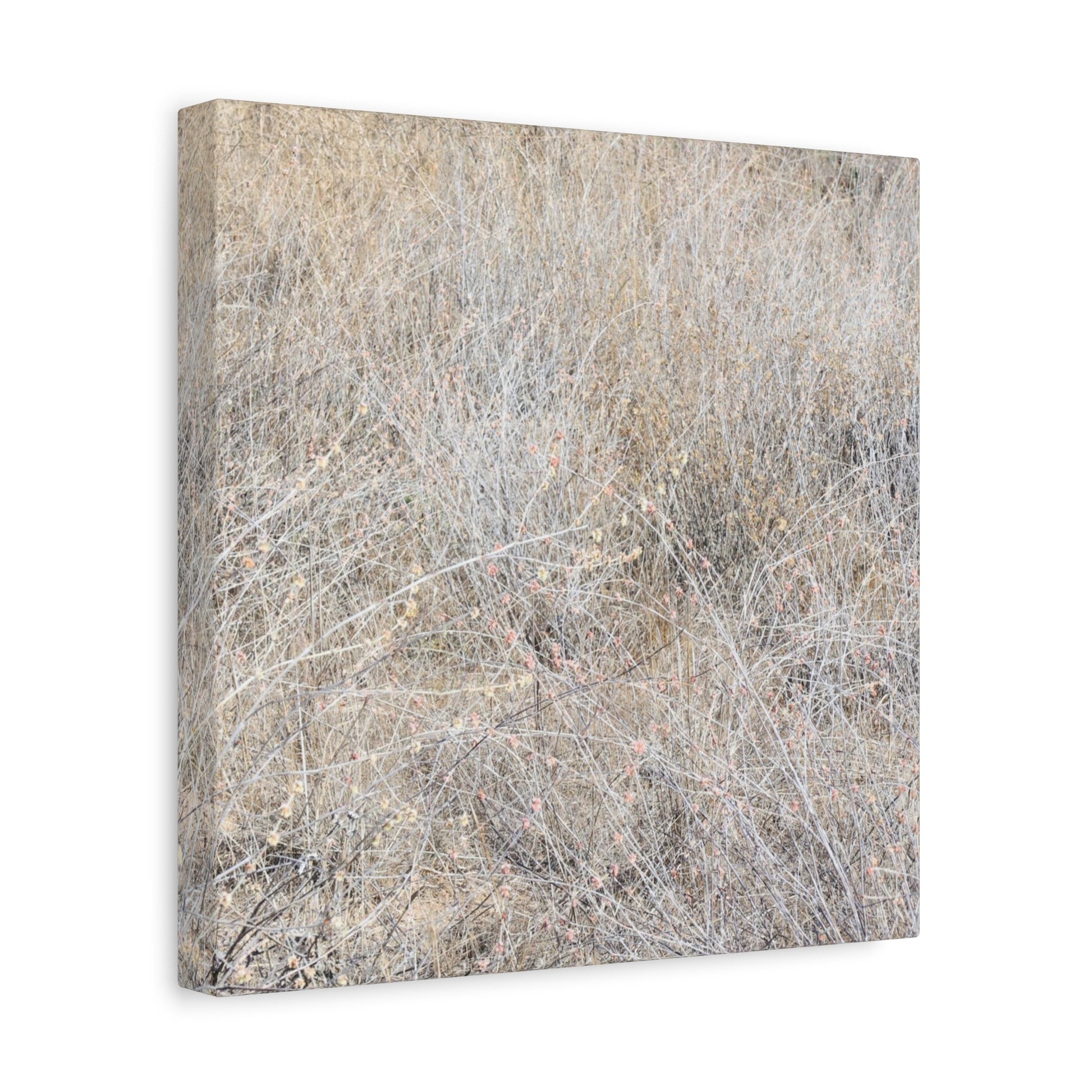 Tangled Whispers of Autumn's Fading Breath - Unique Frameless Canvas Wall Art - Art By Earth