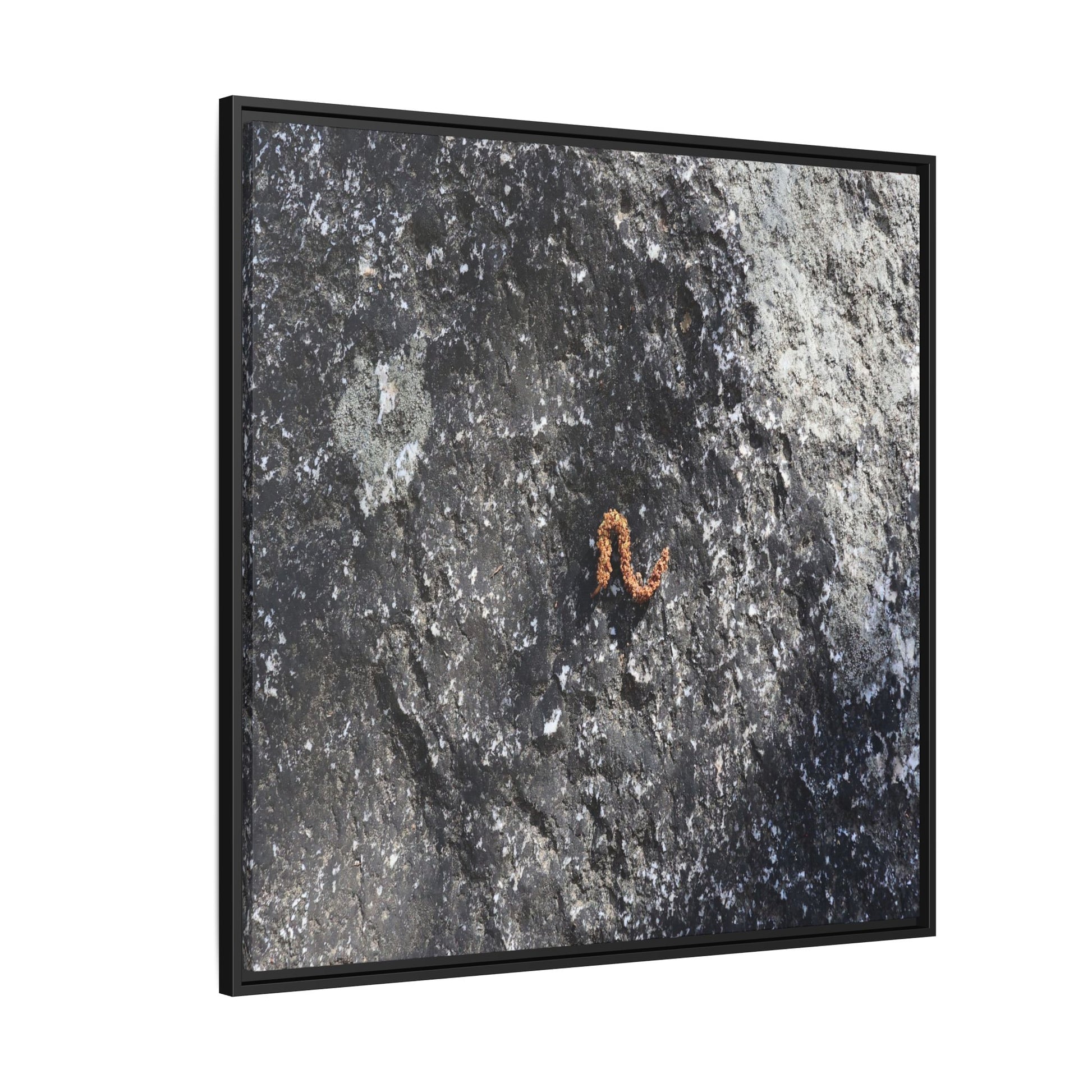 Volcanic Ash and Copper - Unique Stretched Canvas Wall Art - Art By Earth