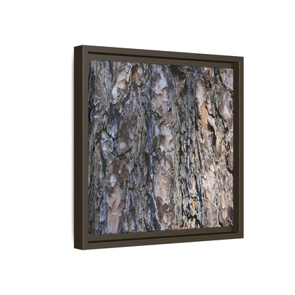 Weathered Patterns - Unique Stretched Canvas Wall Art - Art By Earth