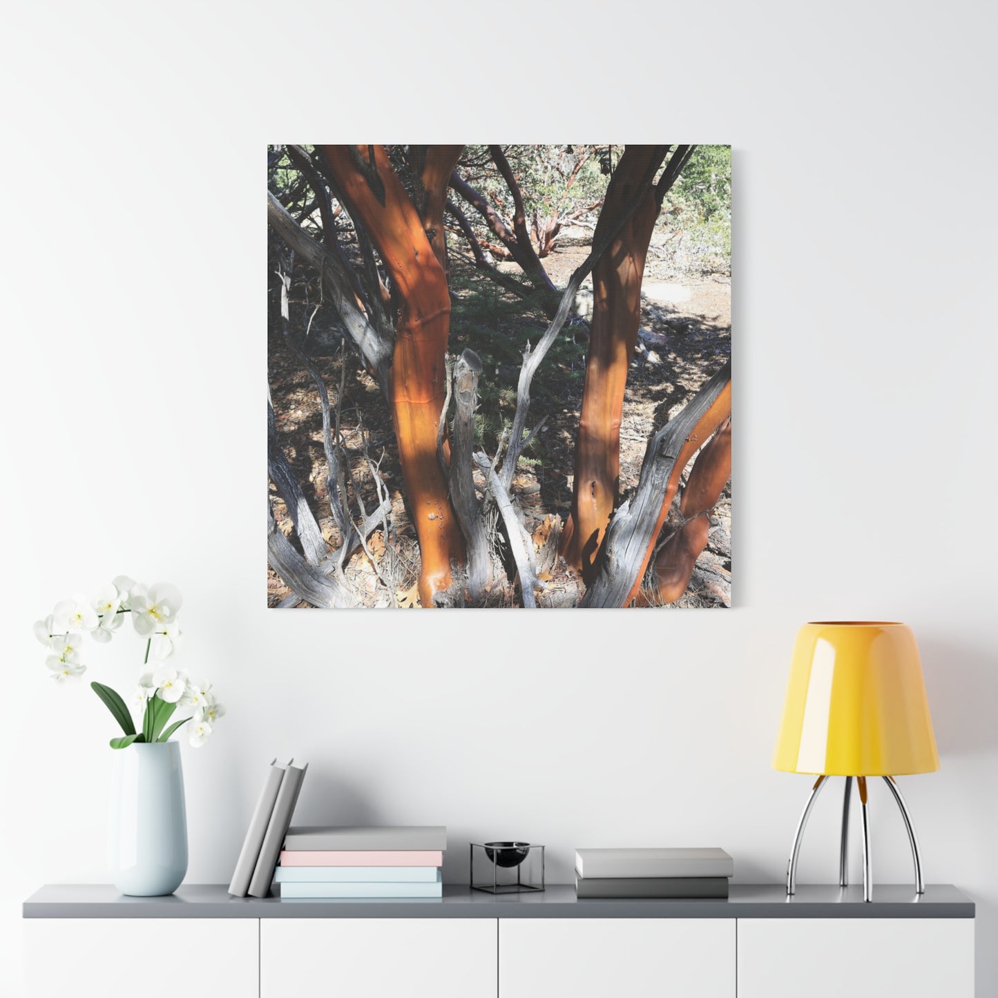 Peeling Bark of Ancient Trees - Unique Frameless Canvas Wall Art