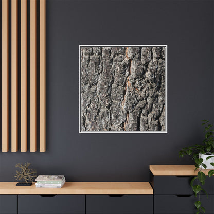 Aged Beauty - Unique Stretched Canvas Wall Art - Art By Earth