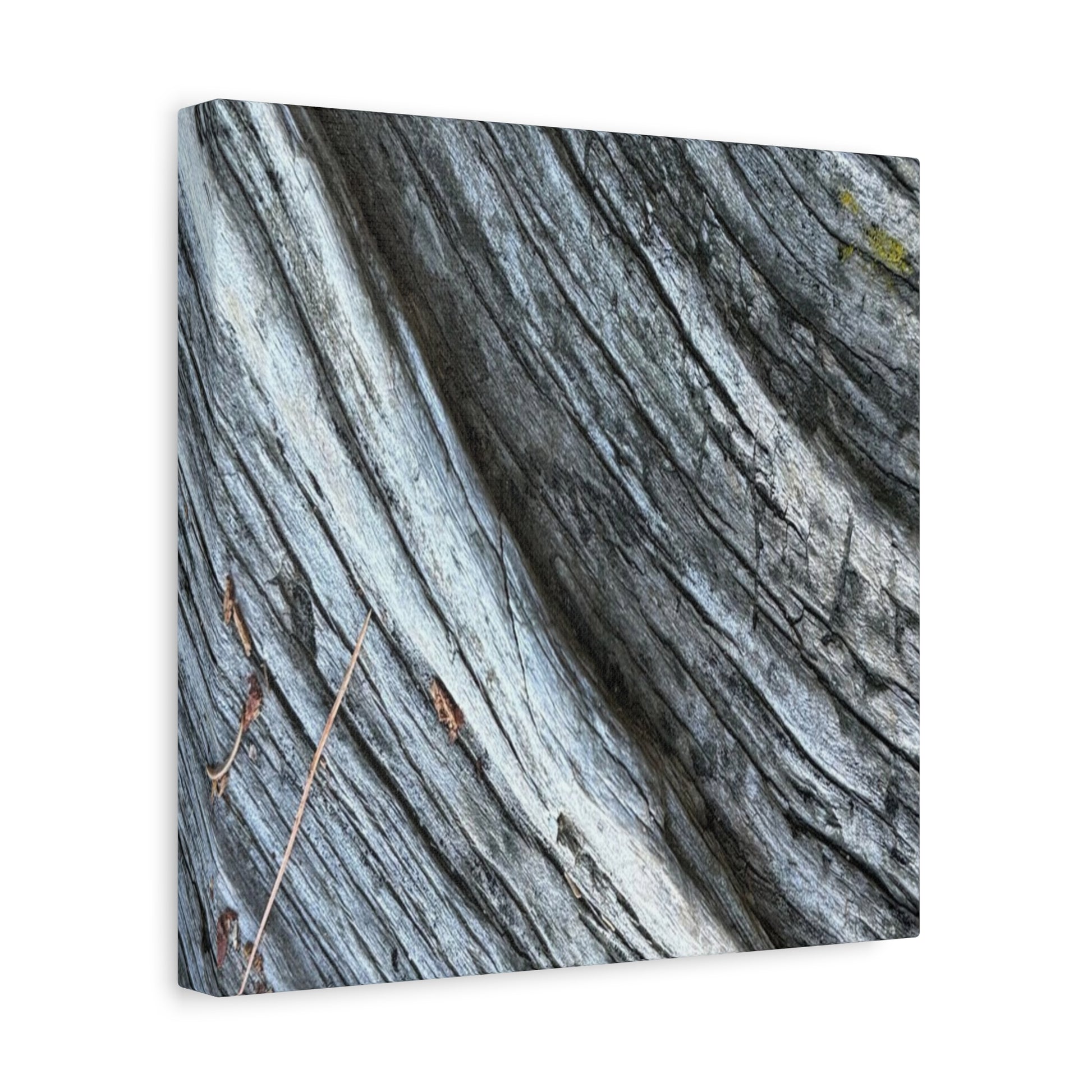 Weathered Wood Grain - Unique Frameless Canvas Wall Art - Art By Earth