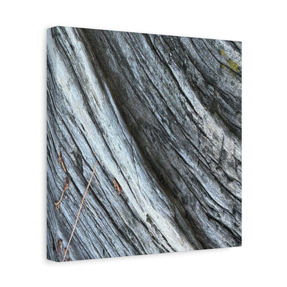 Weathered Wood Grain - Unique Frameless Canvas Wall Art - Art By Earth