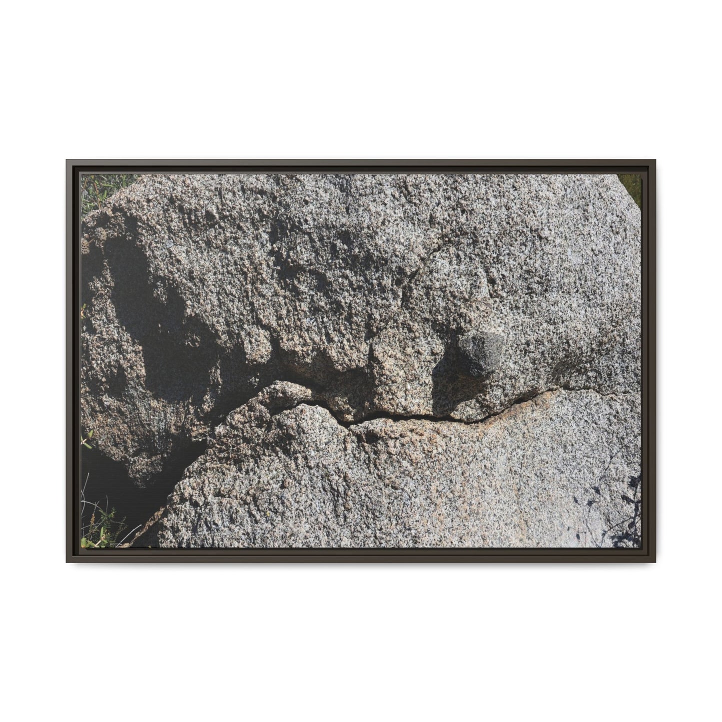 Stone Skull in Desert - Unique Stretched Canvas Wall Art