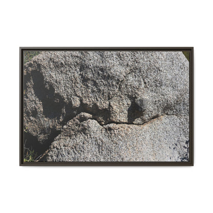 Stone Skull in Desert - Unique Stretched Canvas Wall Art