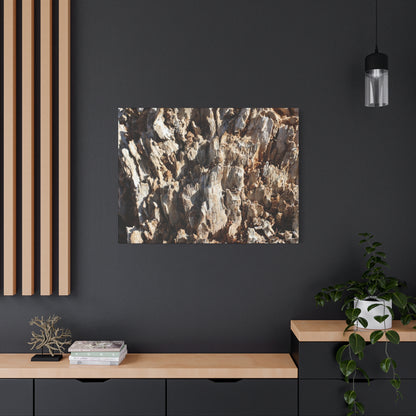 Decaying Bark Symphony - Unique Frameless Canvas Wall Art