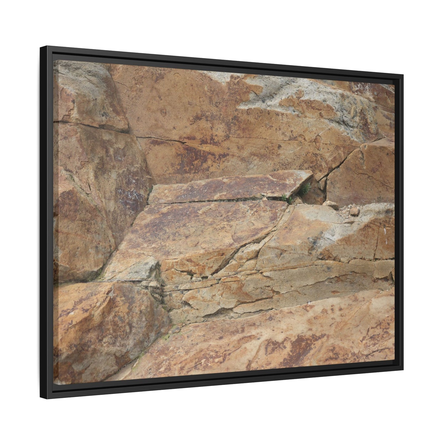 Ancient Foundations - Unique Stretched Canvas Wall Art - Art By Earth