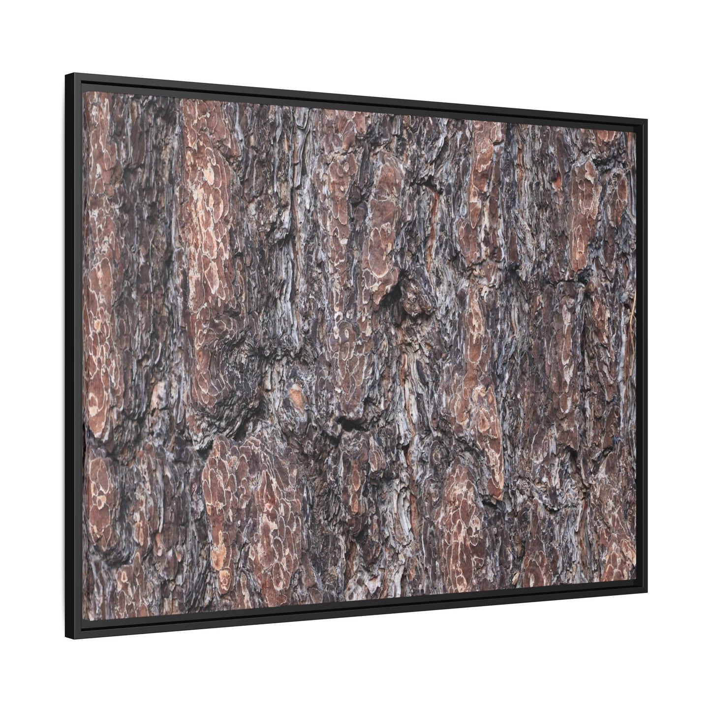 Echoes of Wood - Unique Stretched Canvas Wall Art