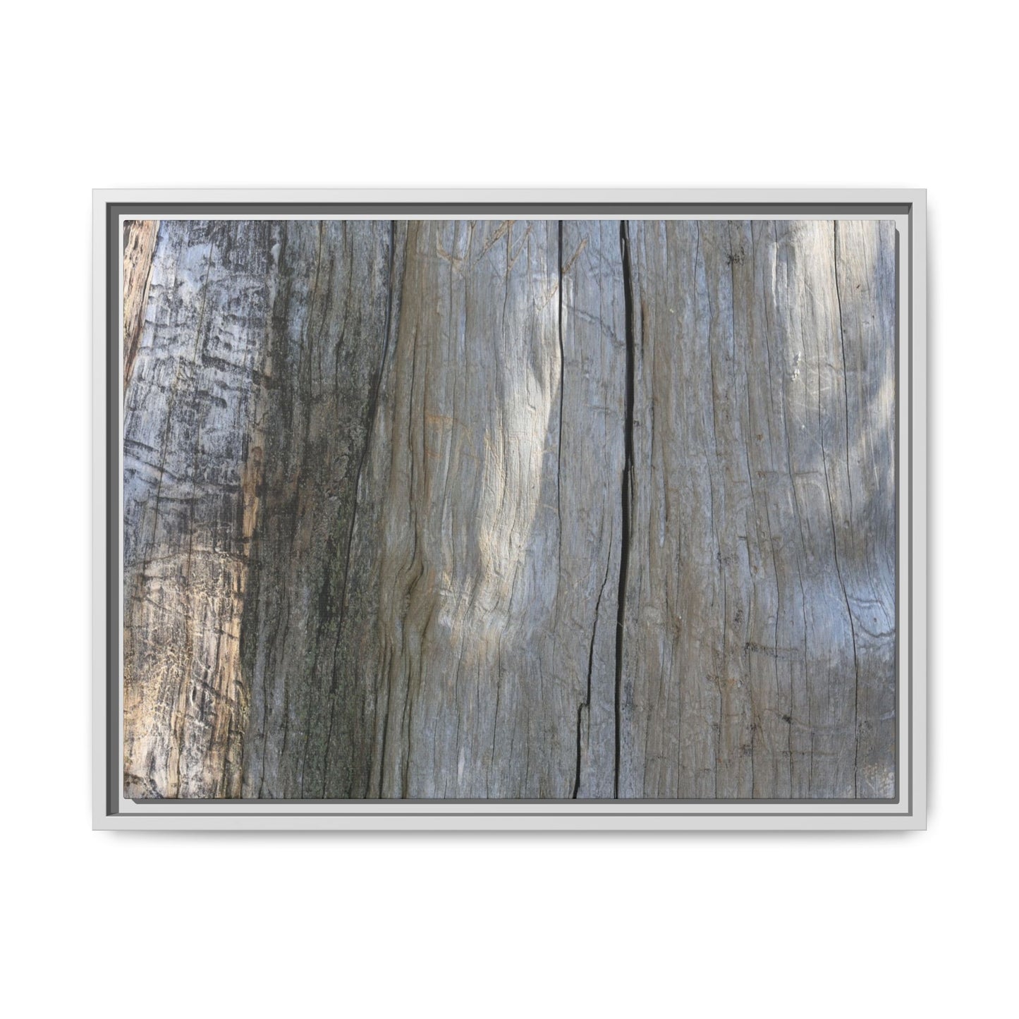 Cracked Timber Texture - Unique Stretched Canvas Wall Art