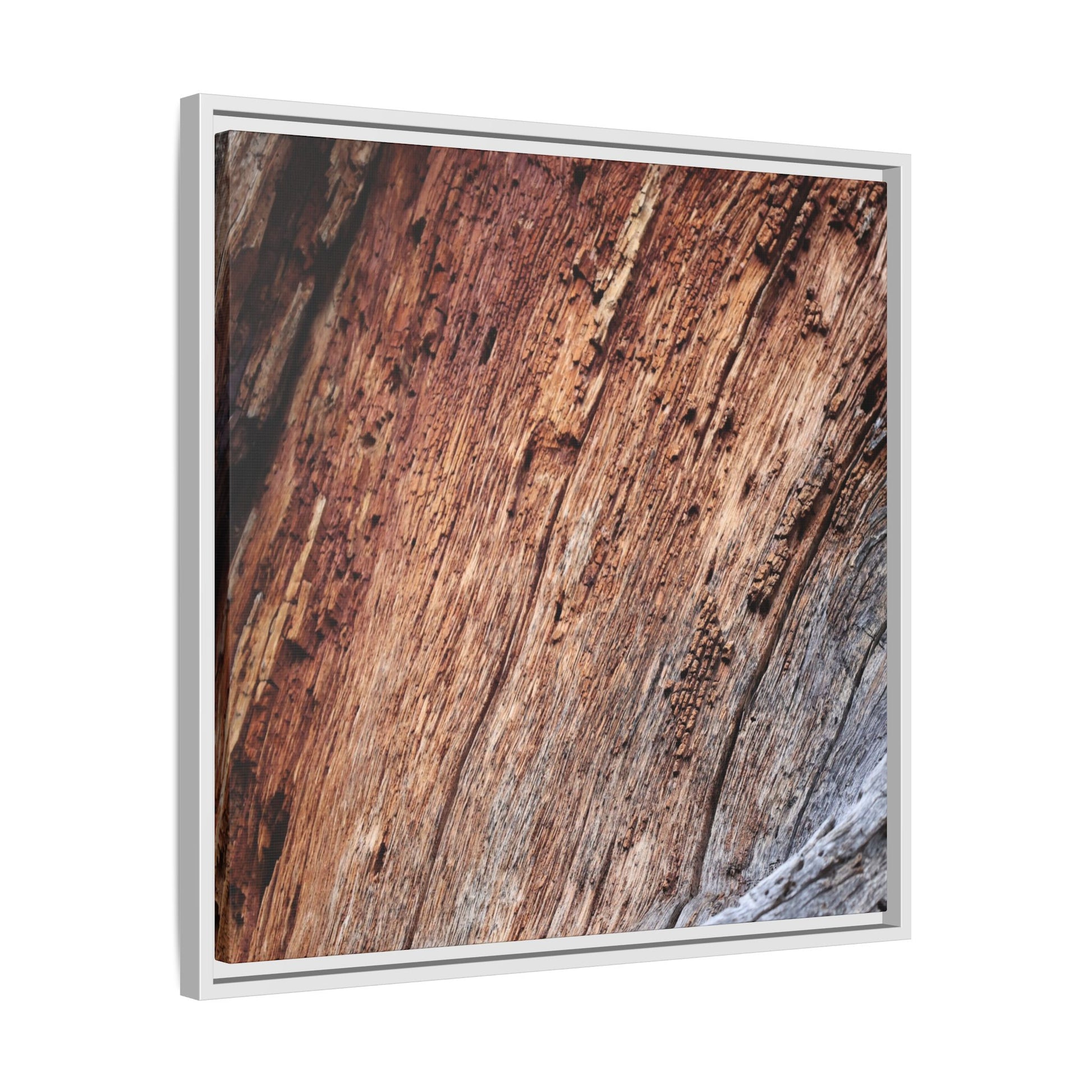 Time's Mark - Unique Stretched Canvas Wall Art - Art By Earth
